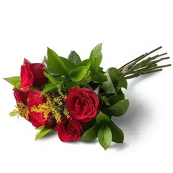 Brazil flowers  -  Bouquet of 6 Red Roses Flower Delivery