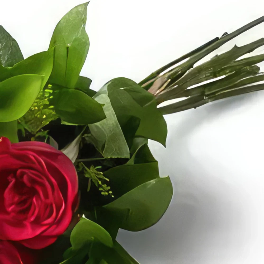 サンパウロ 花- 6本の赤いバラの花束 花束/フラワーアレンジメント