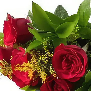 flores de Uberlândia- Buquê de 6 Rosas Vermelhas Bouquet/arranjo de flor