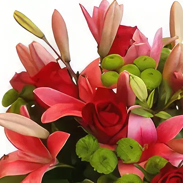 Malta flowers  -  Red  Arrangement  Flower Bouquet/Arrangement