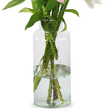 Maastricht Blumen Florist- Charmanter Anfang Bouquet/Blumenschmuck