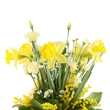 Italy flowers  -  Yellow Flowers & Mimosa Bouquet Flower Bouquet/Arrangement