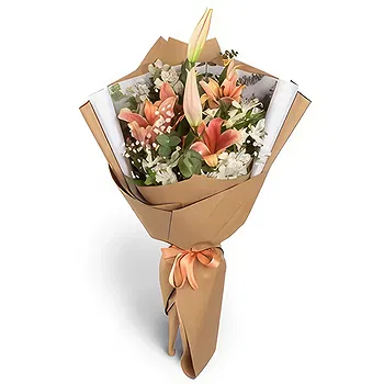 Colonia Campo Villafane Mayor Vicente Villafane flowers  -  Double Paper1215 Flower Delivery