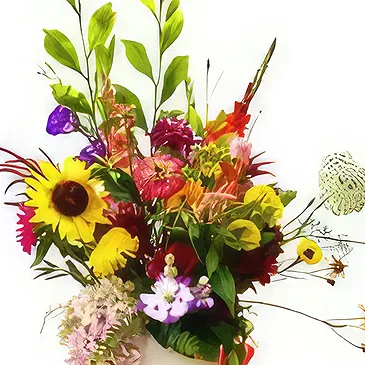 Ouled Maaref flowers  -  Colors in a box Flower Bouquet/Arrangement