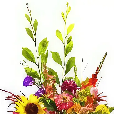 Ouled Maaref flowers  -  Colors in a box Flower Bouquet/Arrangement