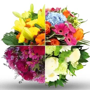 Switzerland flowers  -  Let yourself suprise Flower Delivery