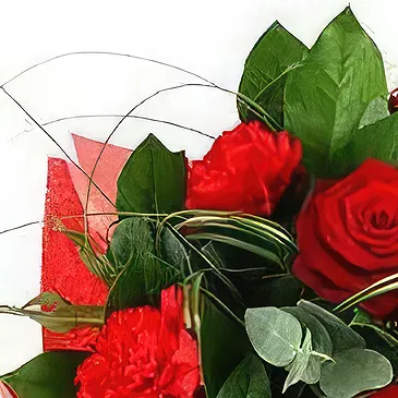 Smederevska Palanka flowers  -  Passionate Red Roses Flower Bouquet/Arrangement
