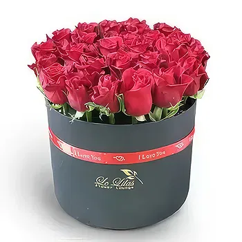 Adma flowers  -  Fresh One Flower Delivery