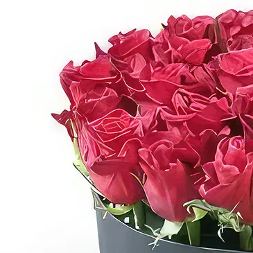 Adma flowers  -  Fresh One Flower Bouquet/Arrangement