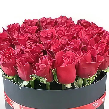 Adma flowers  -  Fresh One Flower Bouquet/Arrangement