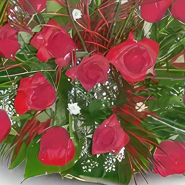 Malbork flowers  -  Live Flowers Flower Bouquet/Arrangement