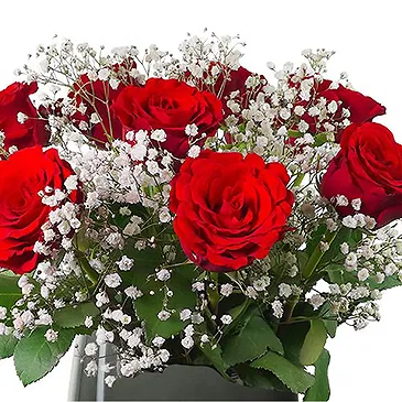 Maastricht flowers  -  Pure Romance Flower Bouquet/Arrangement
