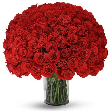 Greece flowers  -  100 Red Roses Bouquet Flower Bouquet/Arrangement