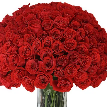 Greece flowers  -  100 Red Roses Bouquet Flower Bouquet/Arrangement