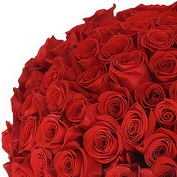 Greece flowers  -  100 Red Roses Bouquet Flower Bouquet/Arrangement