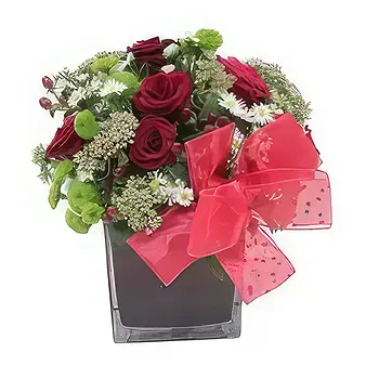 Adma flowers  -  Because I care Flower Delivery