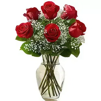 Saudi Arabia flowers  -   6 Red Roses Flower Delivery