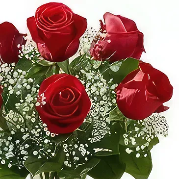 Ad Dilam blomster- 6 røde roser Blomsterarrangementer bukett