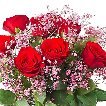 Amsterdam-Zuidoost flowers  -  Romantic roses Mae Flower Bouquet/Arrangement