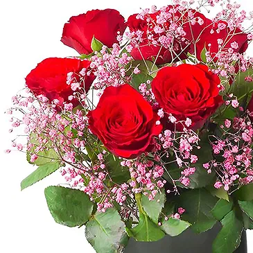 Amsterdam-Zuidoost flowers  -  Romantic roses Mae Flower Bouquet/Arrangement