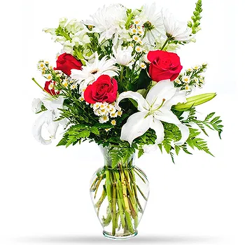 Holland flowers  -  Red and White Flower Delivery