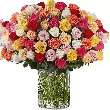 Ad Dilam blomster- 100 blandingsroser Blomsterarrangementer bukett