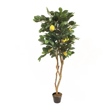 Vignone flowers  -  Lemon Plant Flower Delivery