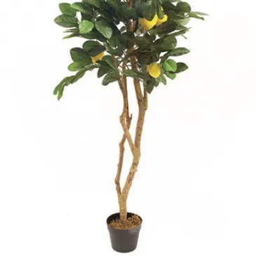 Vignone flowers  -  Lemon Plant Flower Bouquet/Arrangement