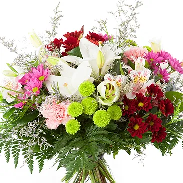 Oman flowers  -  Rich Selection Flower Bouquet/Arrangement
