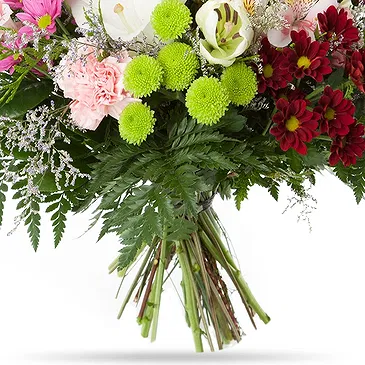 Oman flowers  -  Rich Selection Flower Bouquet/Arrangement