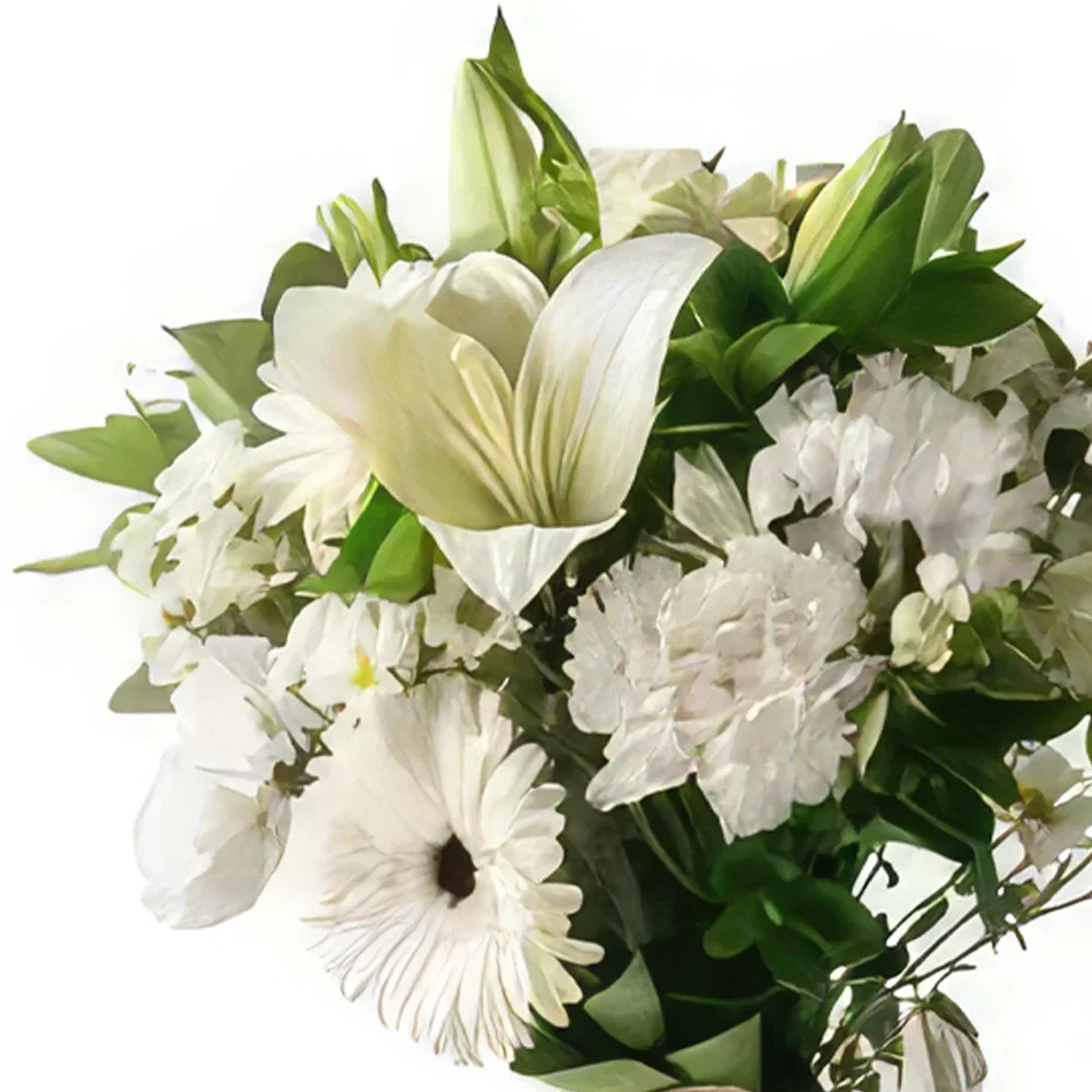 Σαλβαντόρ λουλούδια- Ρύθμιση των λευκών κρίνων και των λουλουδιών  Μπουκέτο/ρύθμιση λουλουδιών