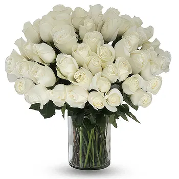 Antias flowers  -  Fresh Roses Bouquet Flower Delivery