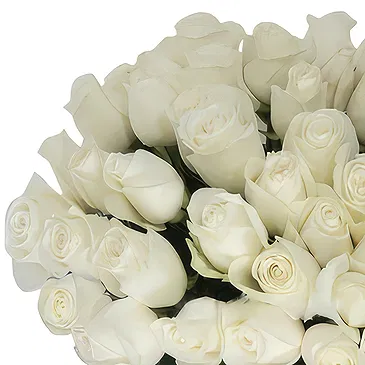 Greece flowers  -  Fresh Roses Bouquet Flower Bouquet/Arrangement