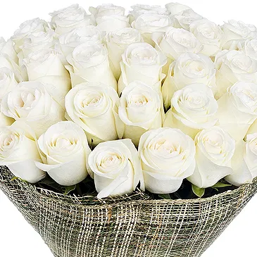 Ebensee am Traunsee Blumen Florist- Strauß mit 50 weißen Rosen Bouquet/Blumenschmuck