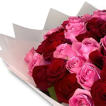 Garhoud flowers  -  Freshcut Red and Pink Roses Bouquet Flower Bouquet/Arrangement