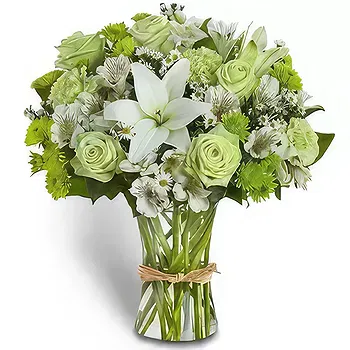 United Arab Emirates flowers  -  Freshness Flower Delivery