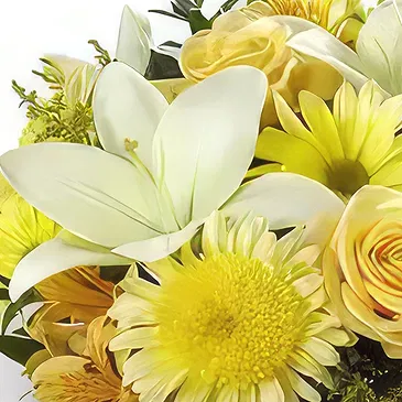 Lihbab 2 Blumen Florist- Frische garantiert Bouquet/Blumenschmuck