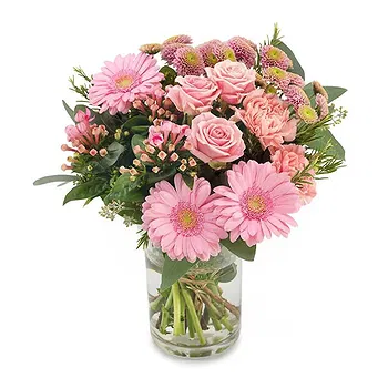 San Marino flowers  -  Bouquet of pink flowers for the birth of a gi Delivery
