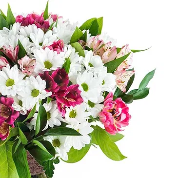 fiorista fiori di Firenze- Bouquet di Margherite Bianche con Alstroemeri Bouquet floreale
