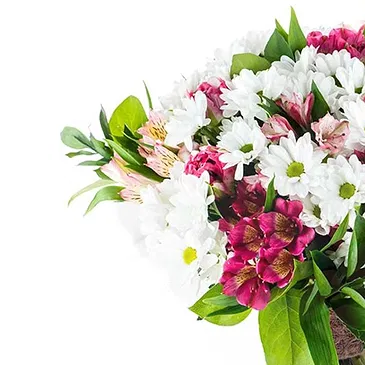 fiorista fiori di Firenze- Bouquet di Margherite Bianche con Alstroemeri Bouquet floreale