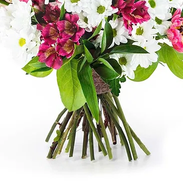 fiorista fiori di Firenze- Bouquet di Margherite Bianche con Alstroemeri Bouquet floreale