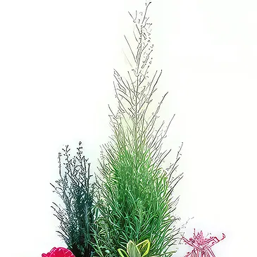 fiorista fiori di Laval- Vaso per piante fucsia e rosso Giardino dell' Bouquet floreale