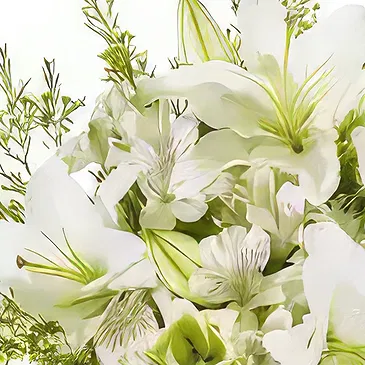 Garhoud flowers  -  Garden Beauty Flower Bouquet/Arrangement