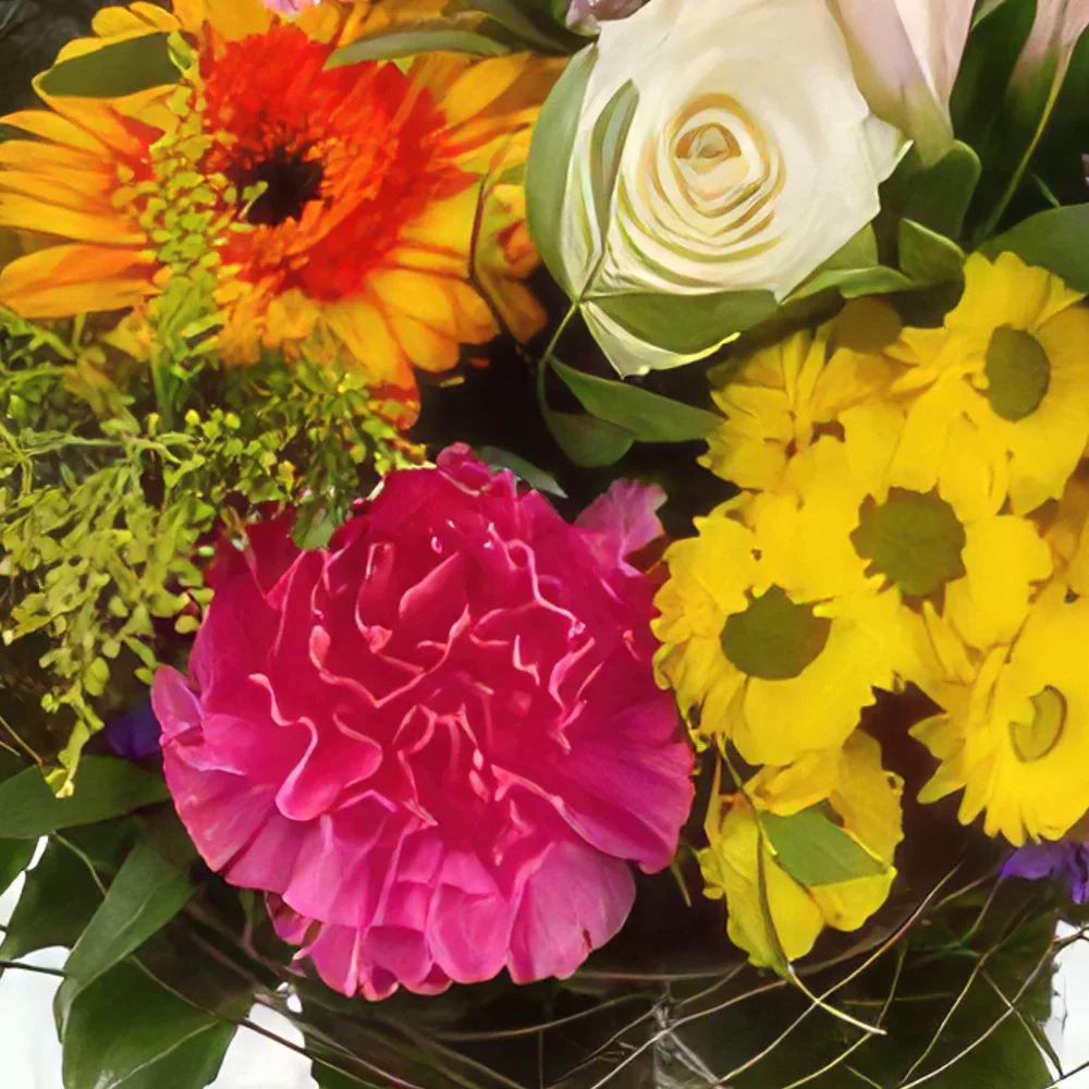 Nurnberg rože- Vrt Sveže Cvet šopek/dogovor