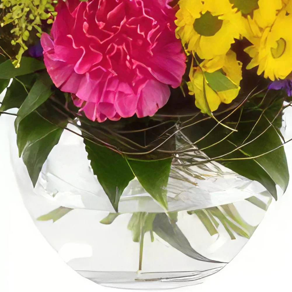 Nurnberg rože- Vrt Sveže Cvet šopek/dogovor