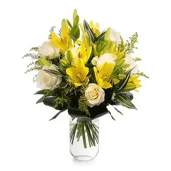 Romania flowers  -  Dazzle Flower Delivery