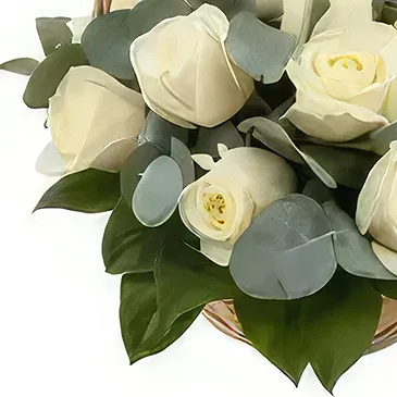 Nea Krya Vrysi flowers  -  12 White roses Flower Bouquet/Arrangement