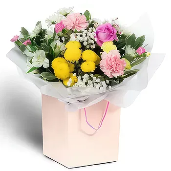 Antias flowers  -  Momenta Gift Flower Delivery