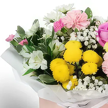 Palia Ampelia flowers  -  Momenta Gift Flower Bouquet/Arrangement