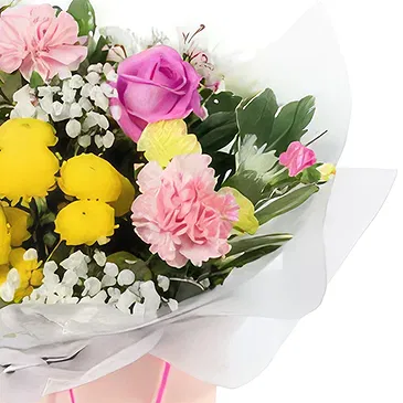 Palia Ampelia flowers  -  Momenta Gift Flower Bouquet/Arrangement